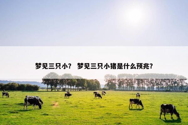 梦见三只小？ 梦见三只小猪是什么预兆？