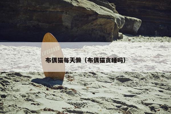 布偶猫每天懒（布偶猫贪睡吗）