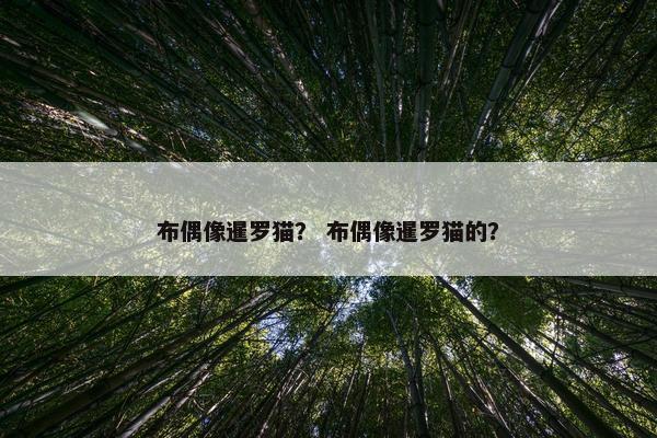 布偶像暹罗猫？ 布偶像暹罗猫的？