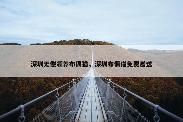 深圳无偿领养布偶猫，深圳布偶猫免费赠送