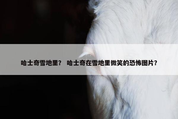 哈士奇雪地里？ 哈士奇在雪地里微笑的恐怖图片？