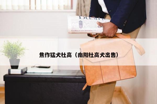 焦作猛犬杜高（南阳杜高犬出售）