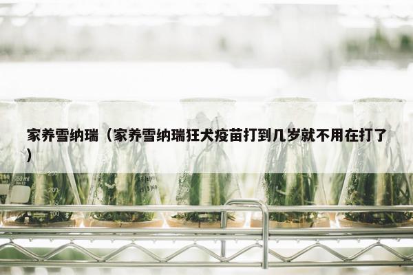家养雪纳瑞（家养雪纳瑞狂犬疫苗打到几岁就不用在打了）