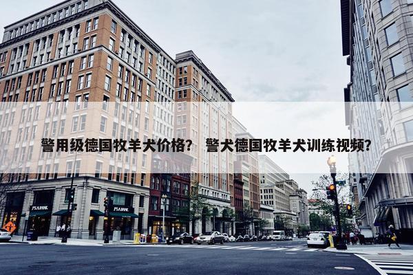 警用级德国牧羊犬价格？ 警犬德国牧羊犬训练视频？