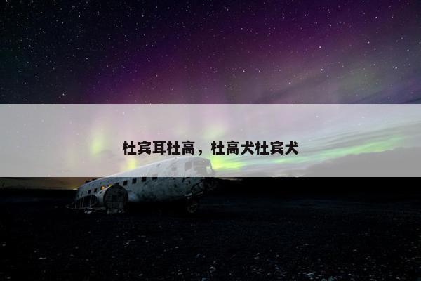 杜宾耳杜高，杜高犬杜宾犬