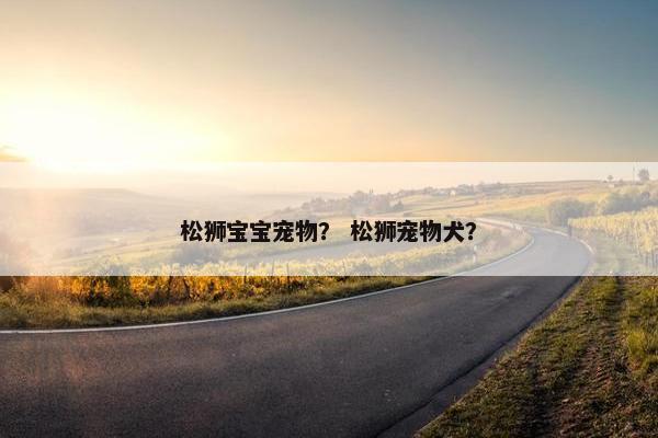 松狮宝宝宠物？ 松狮宠物犬？