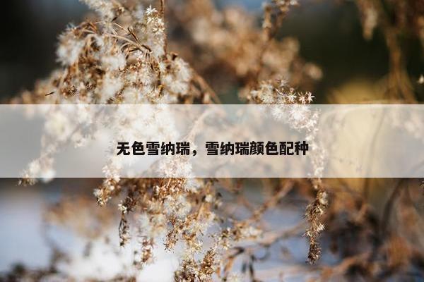 无色雪纳瑞，雪纳瑞颜色配种