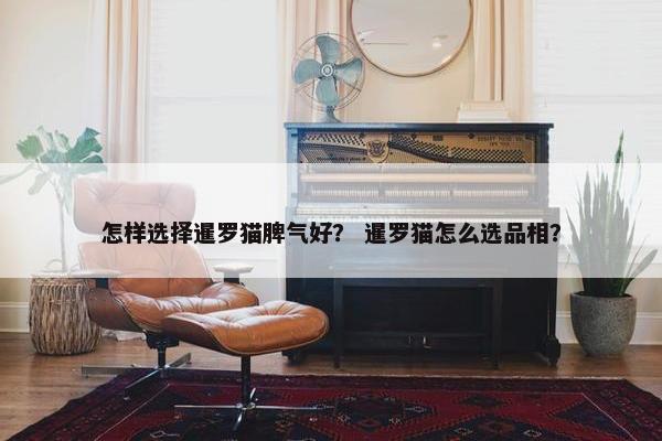 怎样选择暹罗猫脾气好？ 暹罗猫怎么选品相？