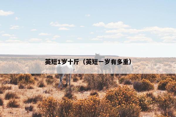英短1岁十斤（英短一岁有多重）