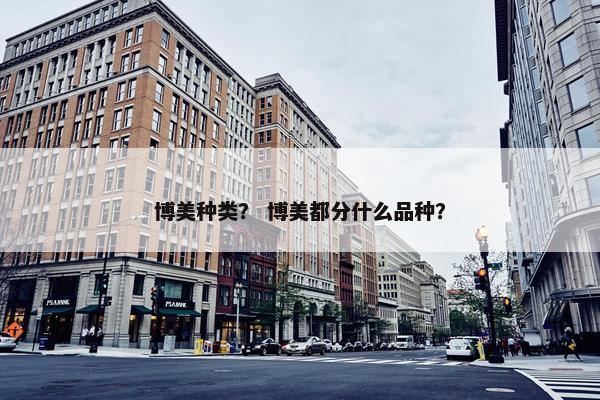 博美种类？ 博美都分什么品种？