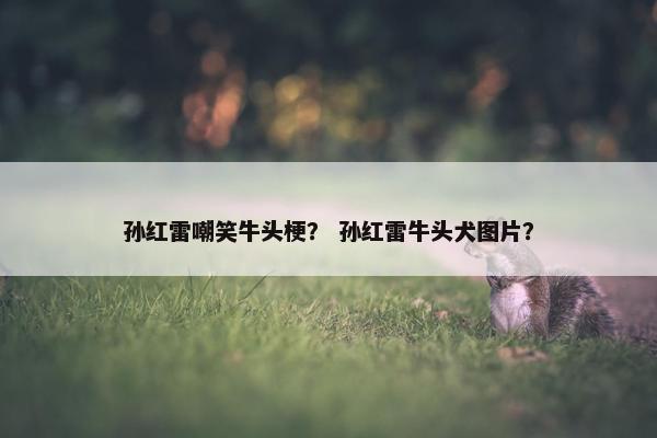 孙红雷嘲笑牛头梗？ 孙红雷牛头犬图片？