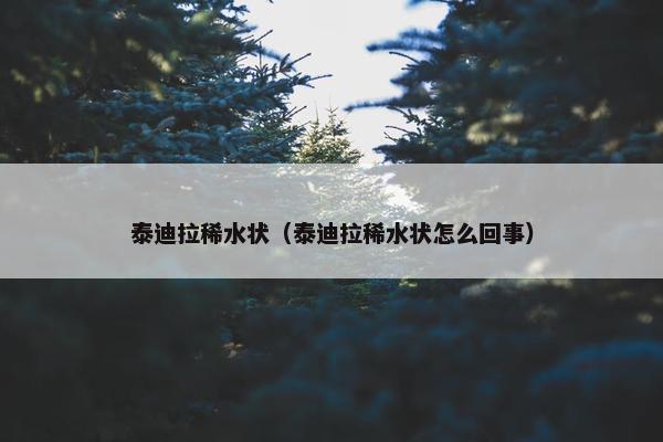 泰迪拉稀水状（泰迪拉稀水状怎么回事）
