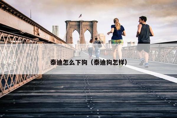 泰迪怎么下狗（泰迪狗怎样）