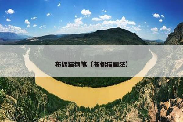 布偶猫钢笔（布偶猫画法）