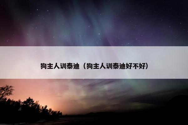 狗主人训泰迪（狗主人训泰迪好不好）