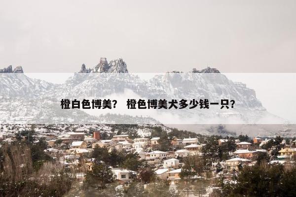 橙白色博美？ 橙色博美犬多少钱一只？
