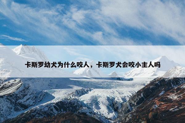 卡斯罗幼犬为什么咬人，卡斯罗犬会咬小主人吗