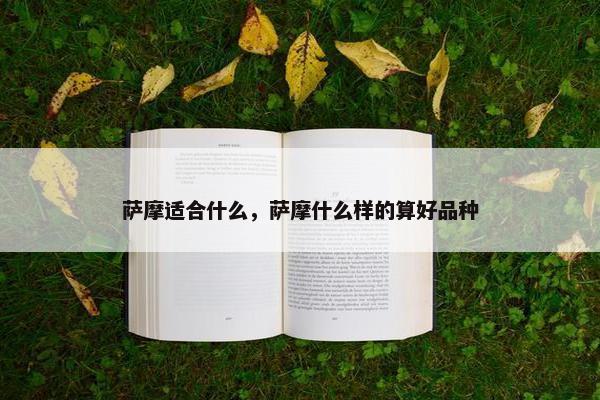 萨摩适合什么，萨摩什么样的算好品种
