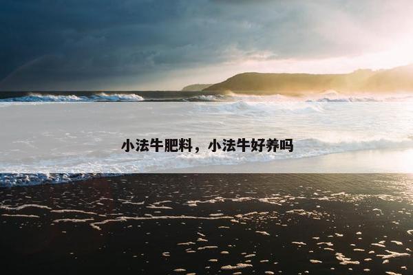 小法牛肥料，小法牛好养吗