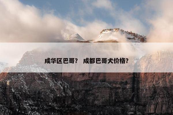 成华区巴哥？ 成都巴哥犬价格？