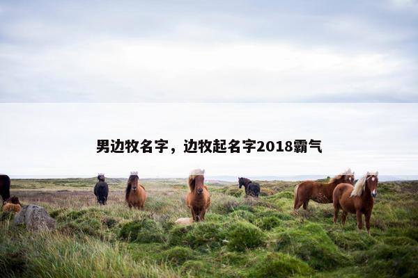男边牧名字，边牧起名字2018霸气