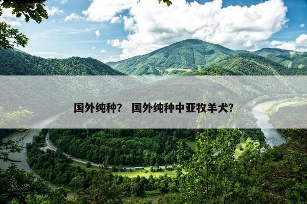 国外纯种？ 国外纯种中亚牧羊犬？