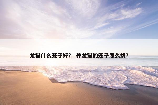 龙猫什么笼子好？ 养龙猫的笼子怎么挑？