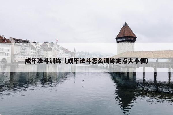 成年法斗训练（成年法斗怎么训练定点大小便）