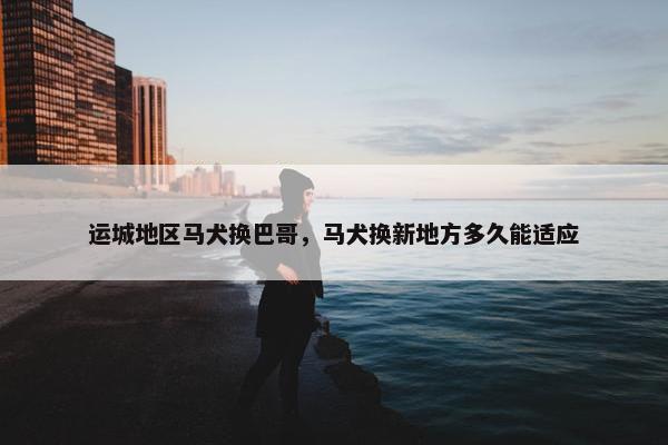 运城地区马犬换巴哥，马犬换新地方多久能适应