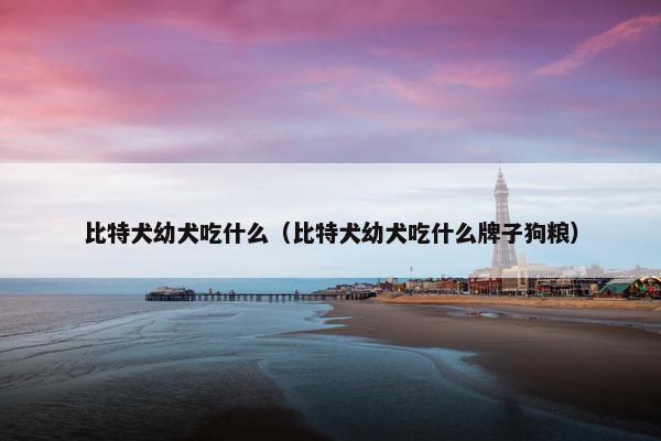比特犬幼犬吃什么（比特犬幼犬吃什么牌子狗粮）