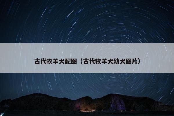 古代牧羊犬配图（古代牧羊犬幼犬图片）