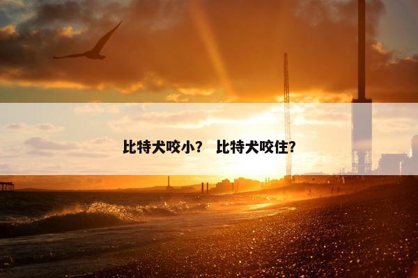 比特犬咬小？ 比特犬咬住？