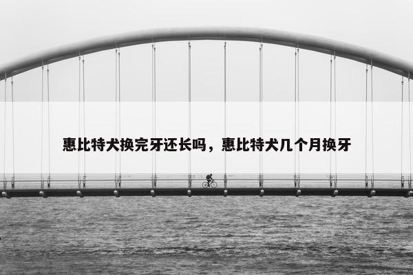 惠比特犬换完牙还长吗，惠比特犬几个月换牙