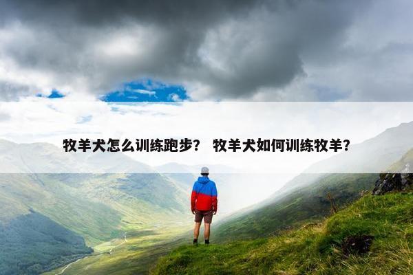 牧羊犬怎么训练跑步？ 牧羊犬如何训练牧羊？