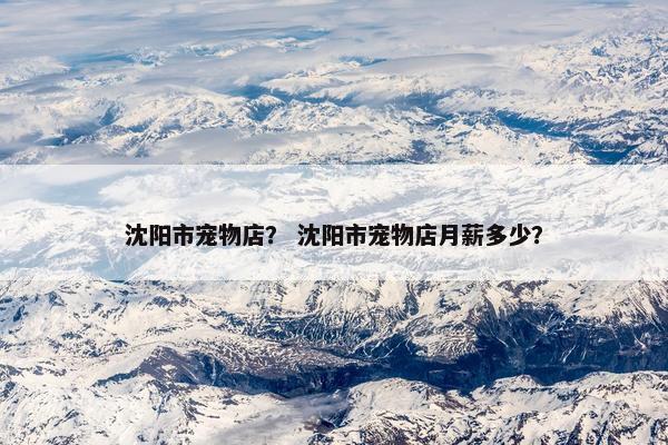 沈阳市宠物店？ 沈阳市宠物店月薪多少？