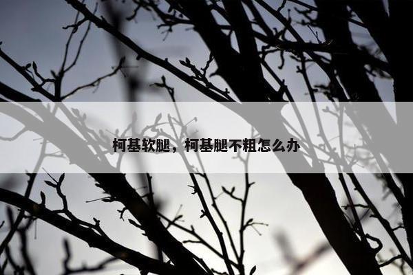 柯基软腿，柯基腿不粗怎么办