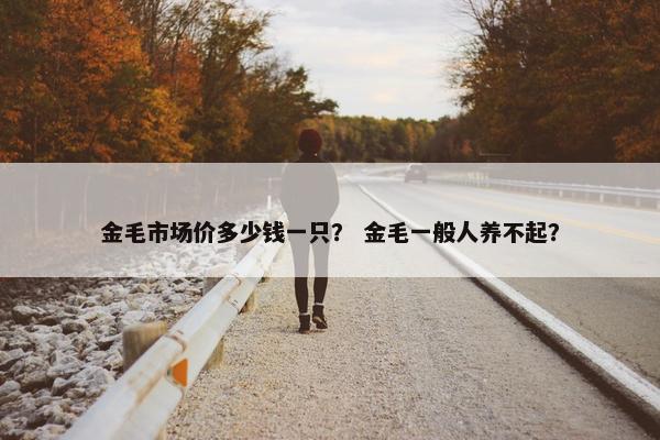 金毛市场价多少钱一只？ 金毛一般人养不起？