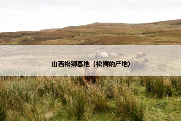 山西松狮基地（松狮的产地）