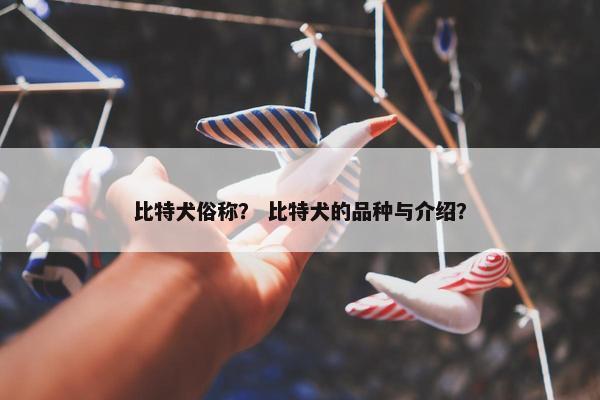 比特犬俗称？ 比特犬的品种与介绍？