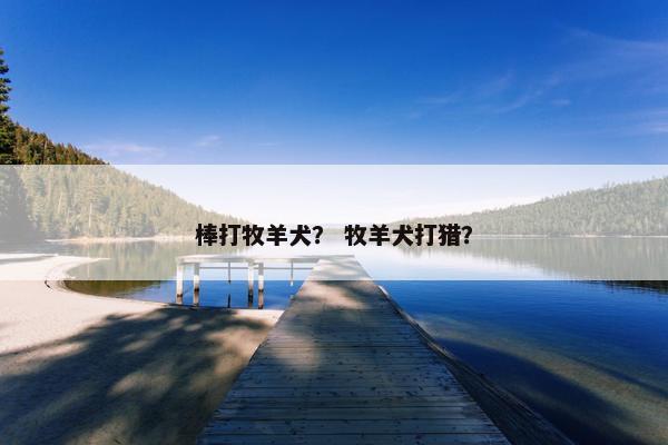 棒打牧羊犬？ 牧羊犬打猎？