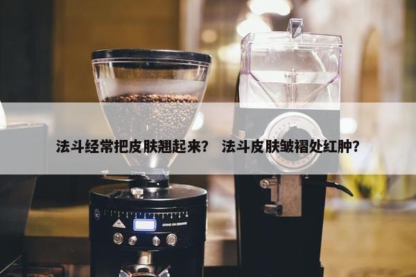 法斗经常把皮肤翘起来？ 法斗皮肤皱褶处红肿？