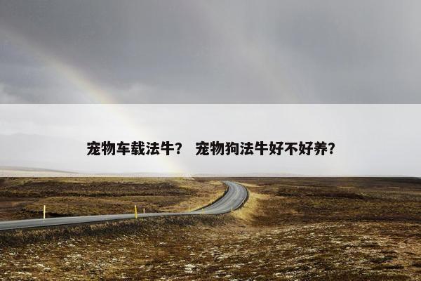 宠物车载法牛？ 宠物狗法牛好不好养？