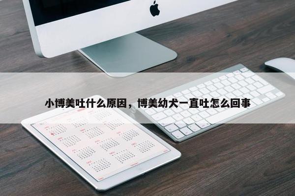 小博美吐什么原因，博美幼犬一直吐怎么回事