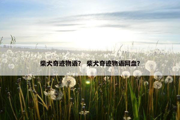 柴犬奇迹物语？ 柴犬奇迹物语网盘？
