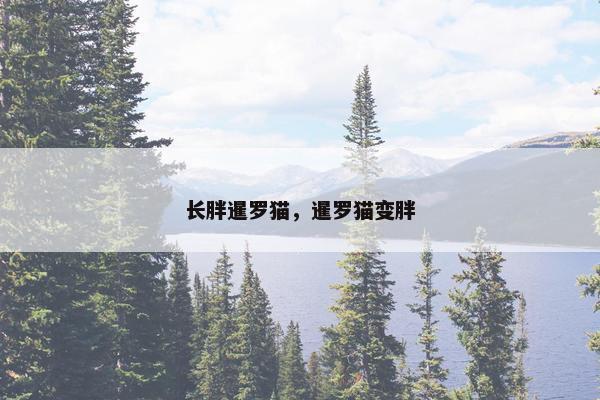 长胖暹罗猫，暹罗猫变胖