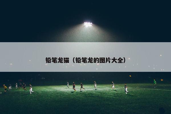 铅笔龙猫（铅笔龙的图片大全）