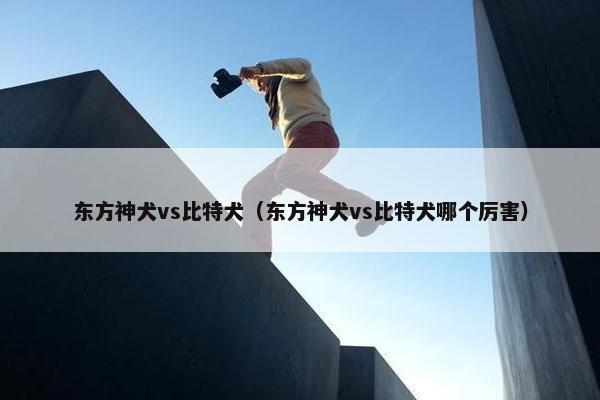 东方神犬vs比特犬（东方神犬vs比特犬哪个厉害）