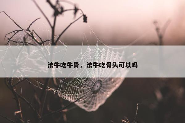 法牛吃牛骨，法牛吃骨头可以吗