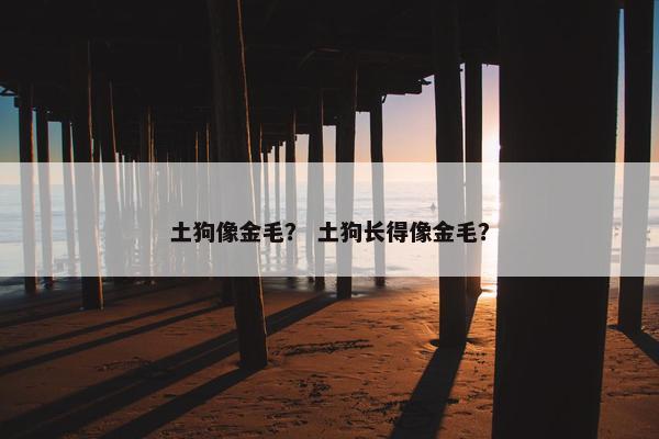 土狗像金毛？ 土狗长得像金毛？