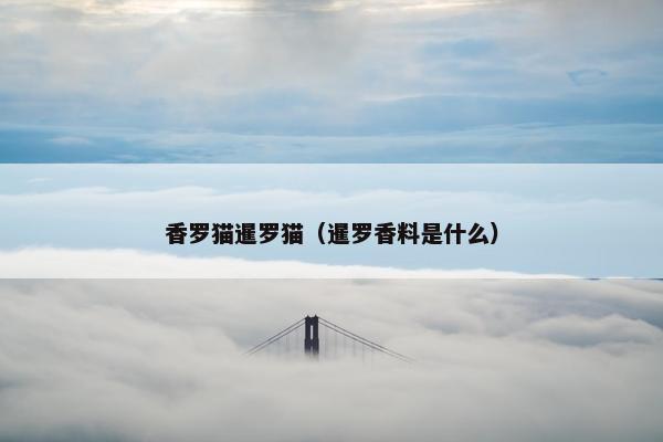 香罗猫暹罗猫（暹罗香料是什么）